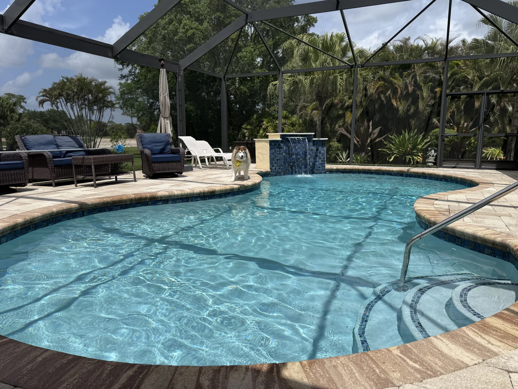 Sparkling under afternoon light — pure pool-service routine